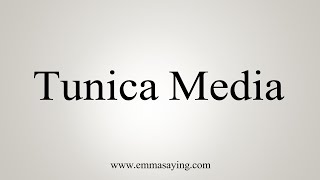 How To Say Tunica Media [upl. by Anaud]