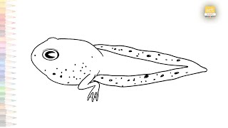 Tadpole easy drawing  baby frog sketches  How to draw A Tadpole step by step simply  artjanag [upl. by Hiro]