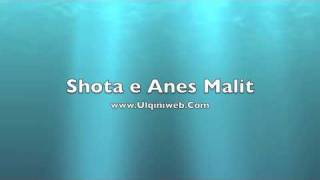 Shota Anes Malit [upl. by Yennaiv326]