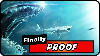 Megalodon Sharks Are Alive New Footage amp Scientific Evidence Must Watch  Absolute Nature [upl. by Anilegnave650]