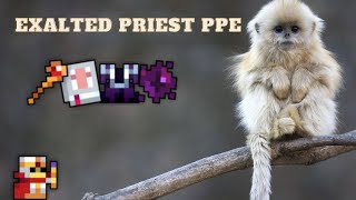 Top 50 Exalted Priest PPE  ROTMG [upl. by Ardni]