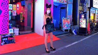 Japan Walk Kabukicho late at night Bunny red light district adult alley in Shinjuku Tokyo｜4K 歌舞伎町 [upl. by Ahseinaj]