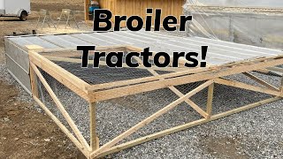 Chicken tractor setup for broiler chickens Video 2 in our broiler chicken series [upl. by Fredra]