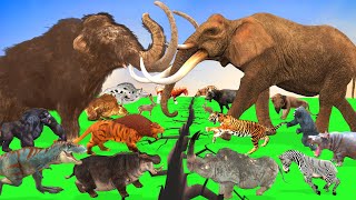 Prehistoric Animals Epic Battle Ice Age Animals vs Modern Mammals Animal Revolt Battle Simulator [upl. by Helgeson]