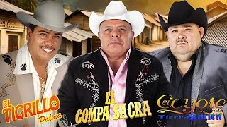 El Tigrillo Palma El Compa Sacra El Coyote  Puros Corridos Mix Para Pistear [upl. by Lleoj826]