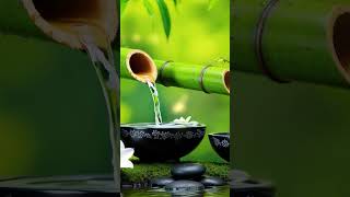 Relaxing Music amp Water Sounds 🌿 Stress Relief amp Depression Aid shorts [upl. by Bonine]