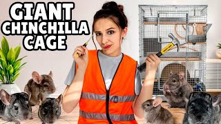 Building the ULTIMATE chinchilla cage ￼ ￼ ￼ [upl. by Idnim]