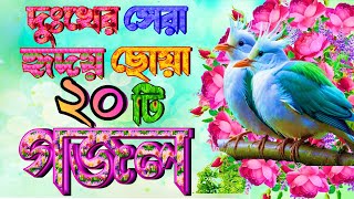 Selected 20 Gojol Best New Gazal সকলের পছন্দের ২০টি বাছাই করা গজল Bangla Gazal Islamic Top Gazal [upl. by Evoy]