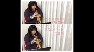 【グリーンスリーブス トランペット二重奏】Greensleeves Tp Duo 楽譜 [upl. by Bertelli]