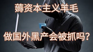 盗了信用卡居然用来买这个？盗刷老外的信用卡在中国会被抓吗？你以为做国外黑产很安全吗？ [upl. by Calabresi]