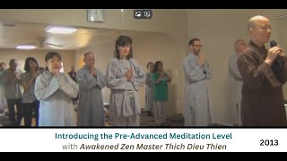 Introducing the PreAdvanced Meditation Level by Awakened Zen Master Thich Dieu Thien [upl. by Ecargyram]