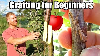 Apple Tree Grafting For Beginners  Learn How To Graft  Includes 6 Months of Updates [upl. by Phenice]