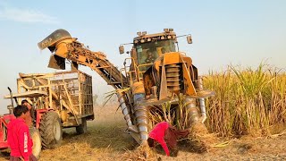 Cameco JDW5 Sugarcane Harvester  Sugarcane Harvesting Machine  MF 385 Tractor  Nadeem Vlog [upl. by Favian]