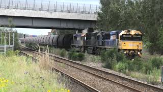 MT332 at sandgate 11 52 9031 9028 TT132 on 11 11 24 [upl. by Ettereve]