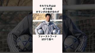 「マクドナルド禁止令」平山相太に関する雑学 サッカー日本代表 jリーグ ワールドカップ [upl. by Schonfield]