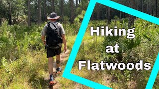 Hiking at Wilderness Park Flatwoods Trails [upl. by Yetty271]