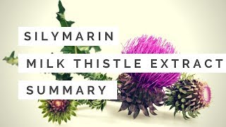 Milk thistle extractssilymarinsilibinSilybum marianum benefitsfunctionsproduction 2018 Organic [upl. by Hafirahs299]