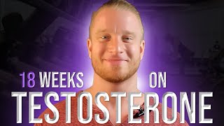 18 Week Testosterone Cycle Update [upl. by Schaffer]