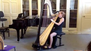 The Moldau Bedrich Smetana harp [upl. by Eward]