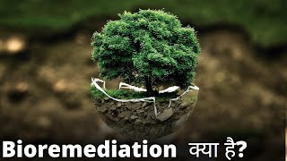 Bioremediation kya hai Bioremediation ke types  In Situ Bioremediation amp Ex  Situ Bioremediation [upl. by Odla]