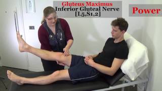 Lower Limb Neurological Exam [upl. by Giarg]