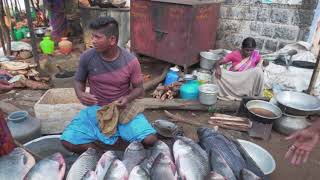 Hogenakkal fish market [upl. by Ganiats814]