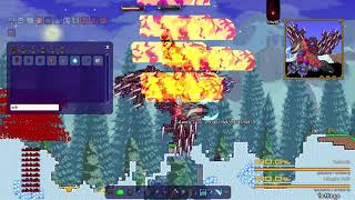 Terraria echdeath vs op weapons and calamity god [upl. by Nnaeirual141]