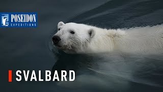 Discover the beauty of Svalbard on an expedition cruise [upl. by Mela215]