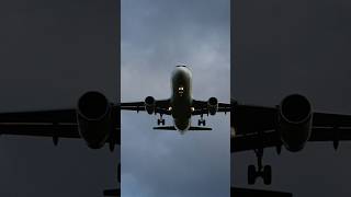 Tail view Landing Airbus A320 at Lajes Terceira Azores sho [upl. by Mencher857]