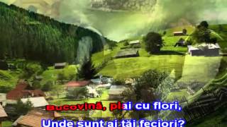 GRIGORE LESE  CANTA CUCUL BATAL VINA Karaoke Romanesti [upl. by Oigres]