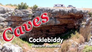 COCKLEBIDDY  Eyre Hwy Western Australia [upl. by Annalise368]