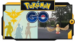 Pokémon GO  PvP battles please  02 [upl. by Nappy]