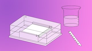 DNALC Short Preparation of an Agarose Gel [upl. by Adnale]