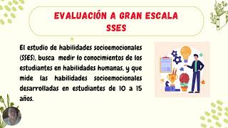 EVALUACIÓNES A GRAN ESCALA [upl. by Einnus366]