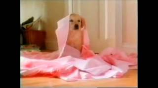 Ultimate Andrex Puppy Advert [upl. by Htebsil506]