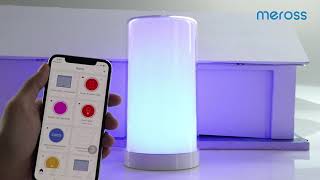 Meross Collie works with Meross smart ambient light [upl. by Carrel]