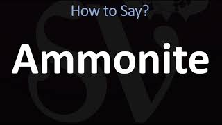 How to Pronounce Ammonite CORRECTLY [upl. by Odrautse]