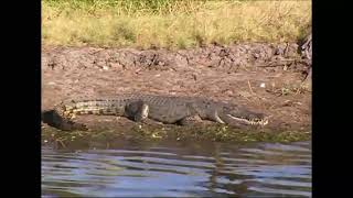 Naturwunder Australien 5 Kakadu Nationalpark Yellow Water [upl. by Arahsat]