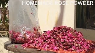 Homemade Rose Powder USES OF ROSE POWDER Rose Powder For Glowing Skin [upl. by Mayrim]