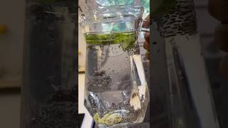 Detox water recipe 🍸 morning routinemorningdrink lemondetox cucumber recipe healthy [upl. by Che]