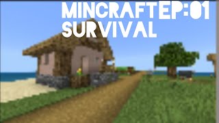 MINECRAFT  ISLAND SURVIVAL EP01 [upl. by Lorilee]