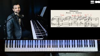 Schumann Träumerei  TutorialAnalysis [upl. by Wanda61]