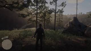 Red Dead Redemption 2  Até zerar [upl. by Adelina]