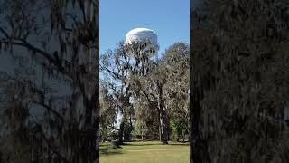 Your 10 seconds of Belleview roadside florida [upl. by Gniy744]