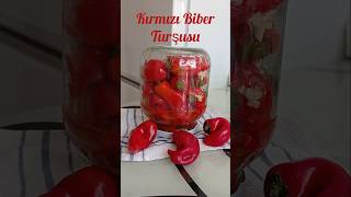 DENEMEYEN KALMASIN 📌  HERKES TARİFİNİ İSTEYECEK  YAĞLI BİBER TURŞUSU kırmızıbiberturşusu [upl. by Osnofla31]