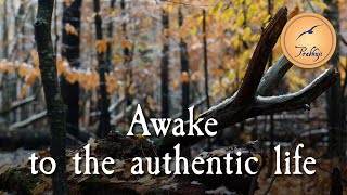 Awake to the authentic life  Prabhuji [upl. by Ahtram]