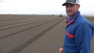 Lettuce Production in the Salinas Valley [upl. by Leiru]