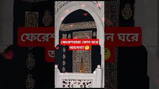 ফেরেশতারা কোন ঘরে আসেনা🤔 islamicbangla islamicstory islamicvideo ytshortsvideo quiz [upl. by Cuthbert453]