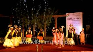 Baiga Pardhauni tribal dance of Madhya Pradesh [upl. by Eads]