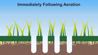 benefits of aeration [upl. by Weingartner]